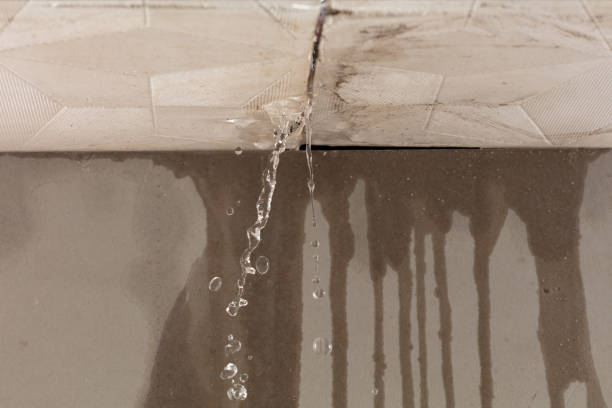 Professional Water Damage Repair technician working in Spring Glen, UT